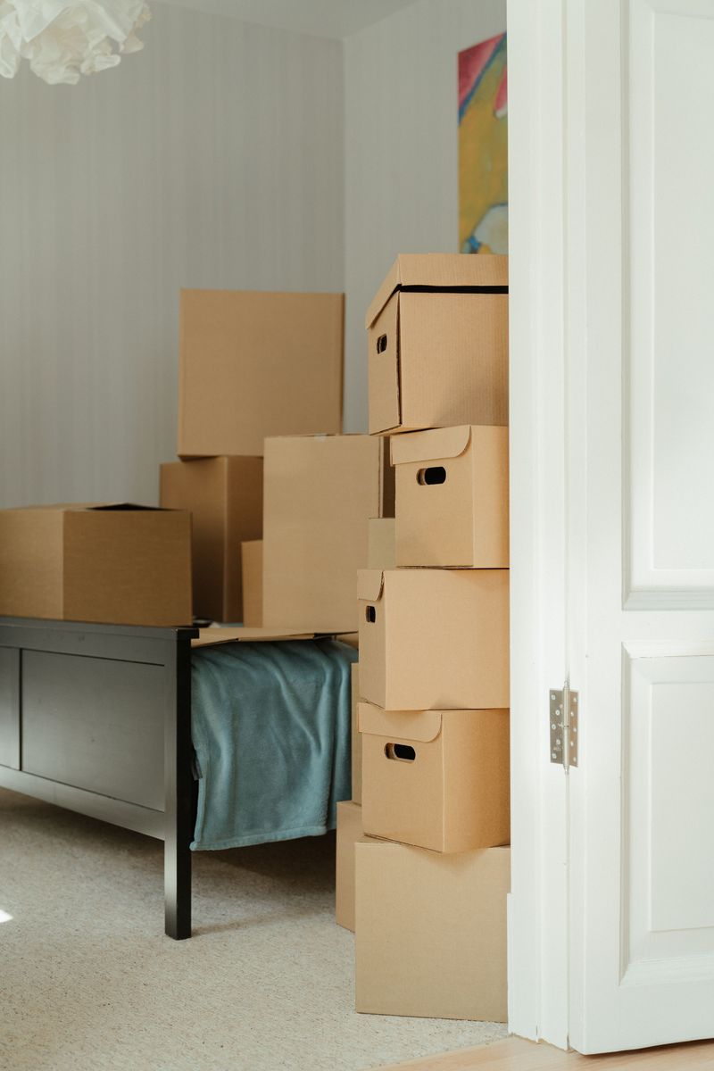 Storing Items In Cardboard Boxes