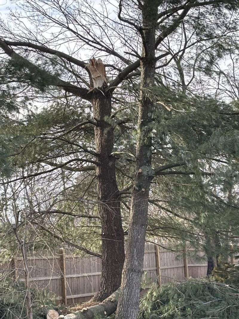 Storm Damage Is A Fair Exception Storm Damage Is A Fair Exception