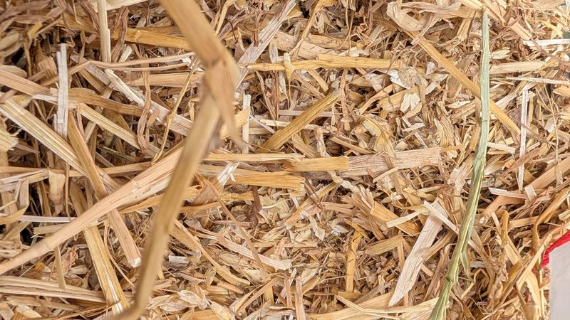 Straw Differs From Hay In One Important Way Straw Differs From Hay In One Important Way