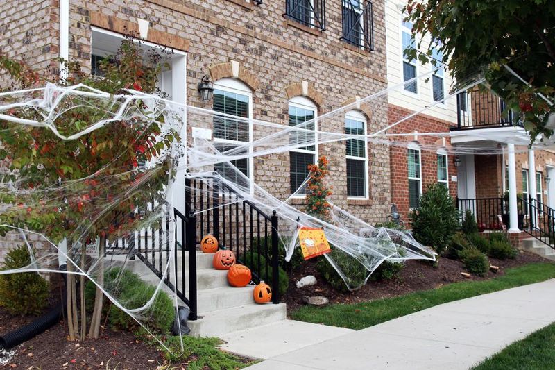 Stretchy Fake Webs Snag Birds And Bats Stretchy Fake Webs Snag Birds And Bats