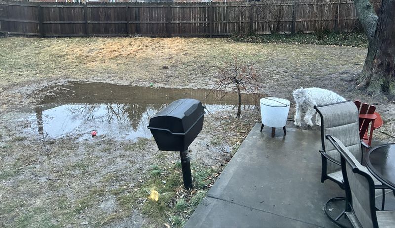 Sudden Heavy Rain Overwhelms Dry Soil Sudden Heavy Rain Overwhelms Dry Soil