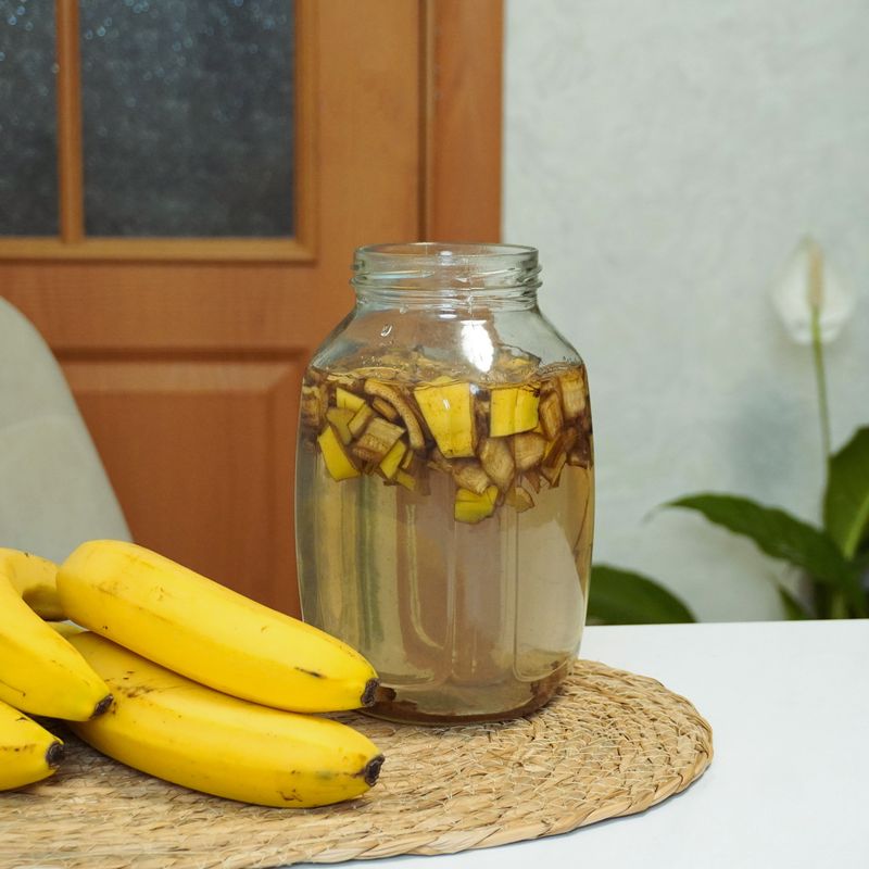 Sugary Peel Water Can Attract Fruit Flies Sugary Peel Water Can Attract Fruit Flies