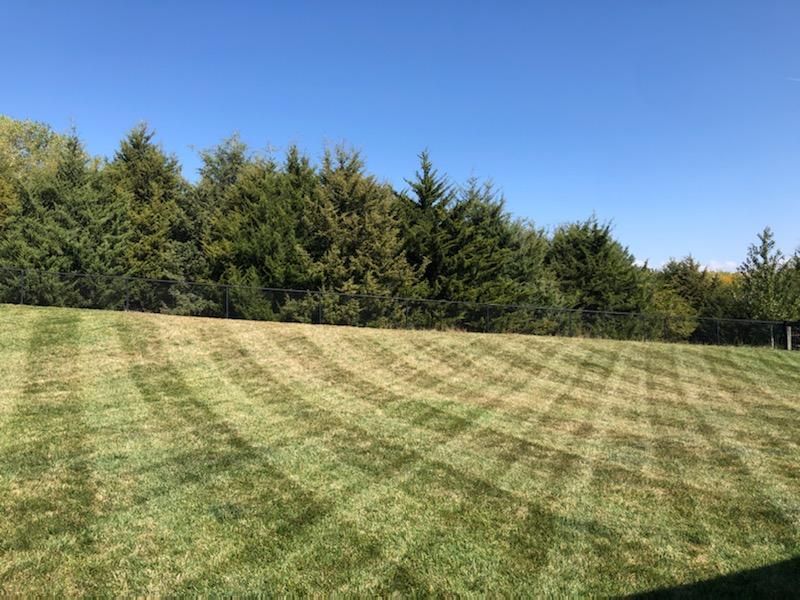 Summer Stress Behind Thin Missouri Turf Summer Stress Behind Thin Missouri Turf