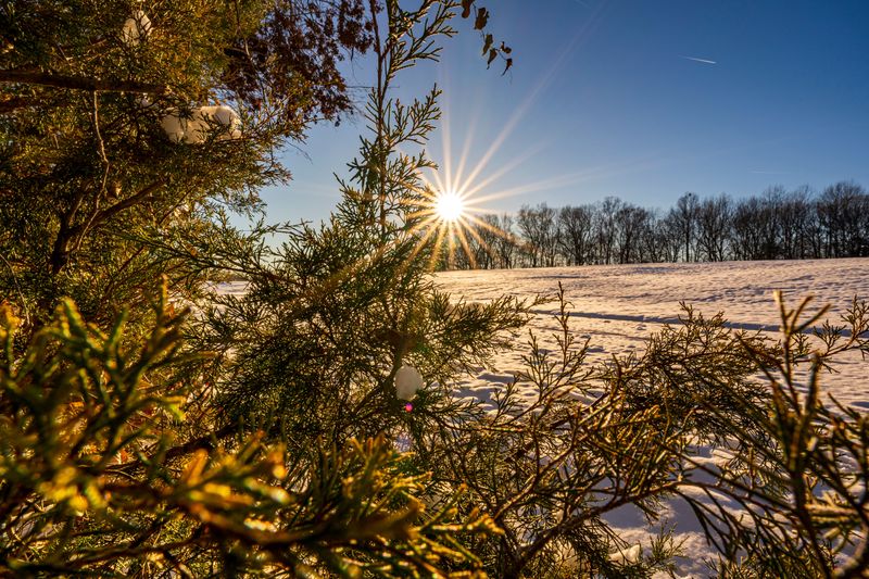 Sunny Days Speed Up Water Loss