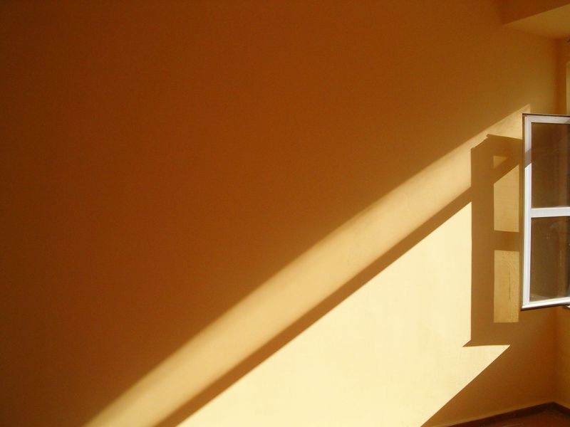 Sunny Walls Draw Stink Bugs In