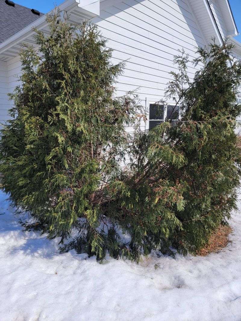 Support Against Heavy Snow