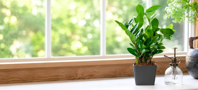 Support Growth With The Right Care Support Growth With The Right Care