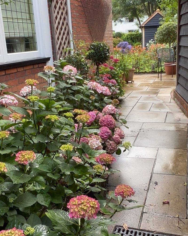 Support Stems With Stakes Or A Hoop