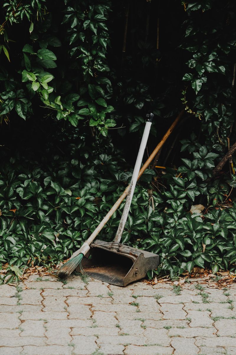 Sweep Away Debris Regularly Sweep Away Debris Regularly
