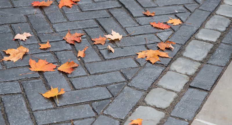 Sweep Away Fallen Leaves And Debris Sweep Away Fallen Leaves And Debris