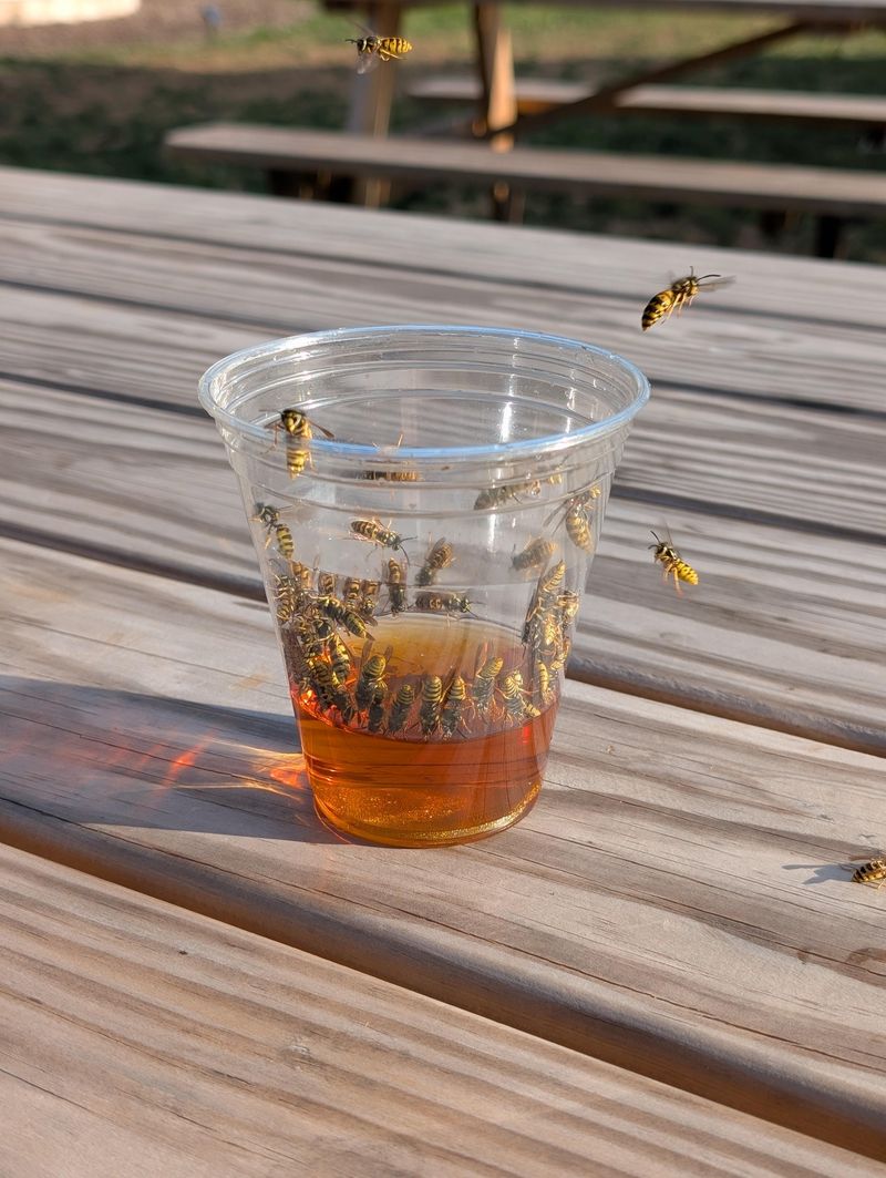 Sweet Drinks And Spills Work Like Bait