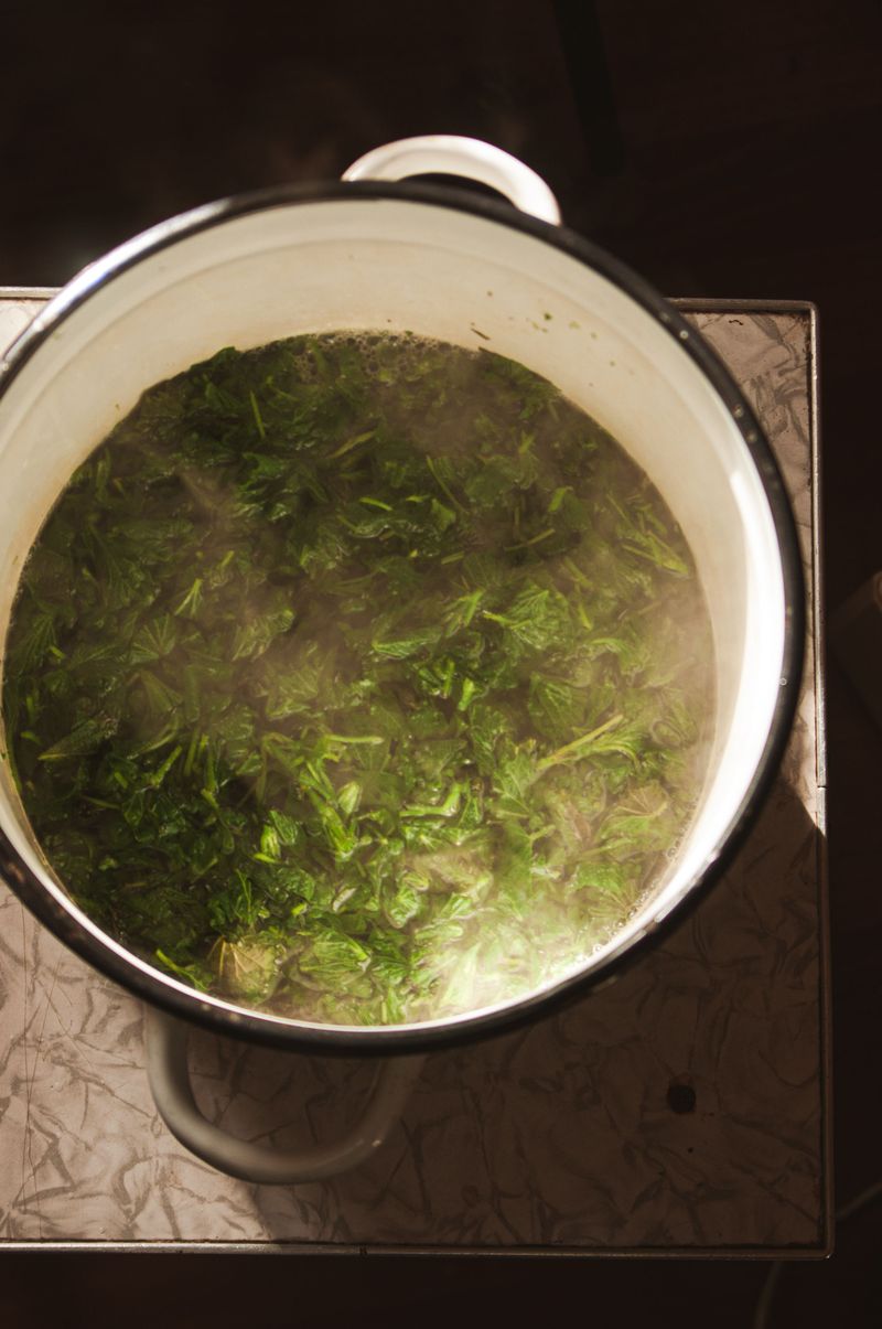 Sweeter Leaves In The Pot Sweeter Leaves In The Pot