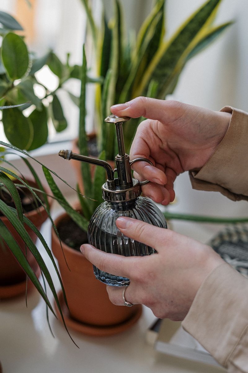 Switch To A Smart Winter Watering Schedule