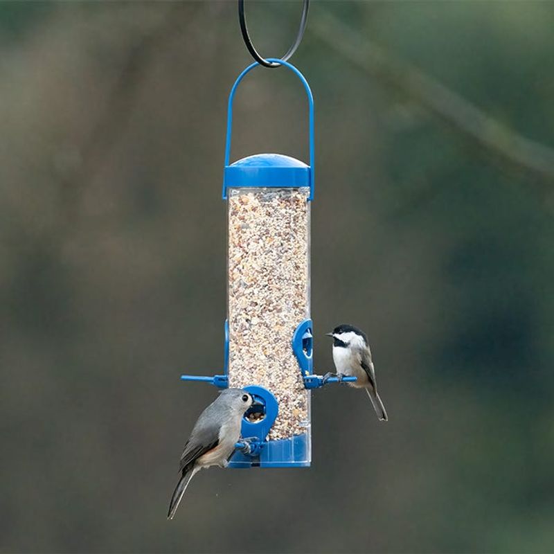 Switch To Tube Feeders With Short Perches Switch To Tube Feeders With Short Perches