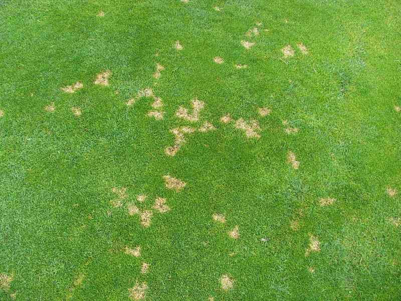 Symptoms Show Up Under Heat Stress Symptoms Show Up Under Heat Stress