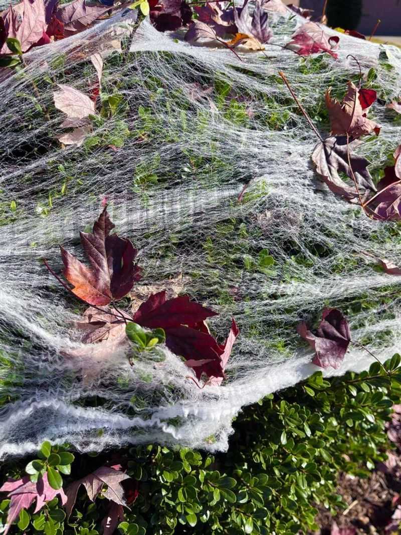 Take Decorations Down Right After Halloween Take Decorations Down Right After Halloween