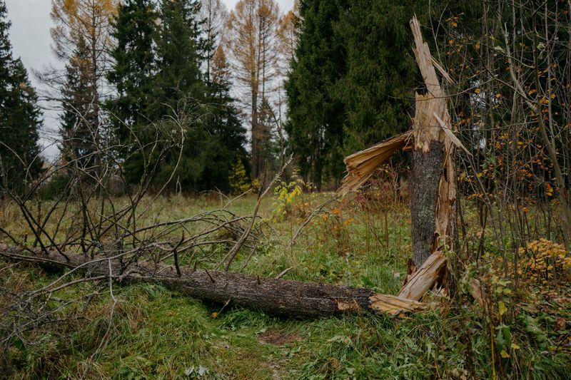 Take Simple Steps Before And After The Wind