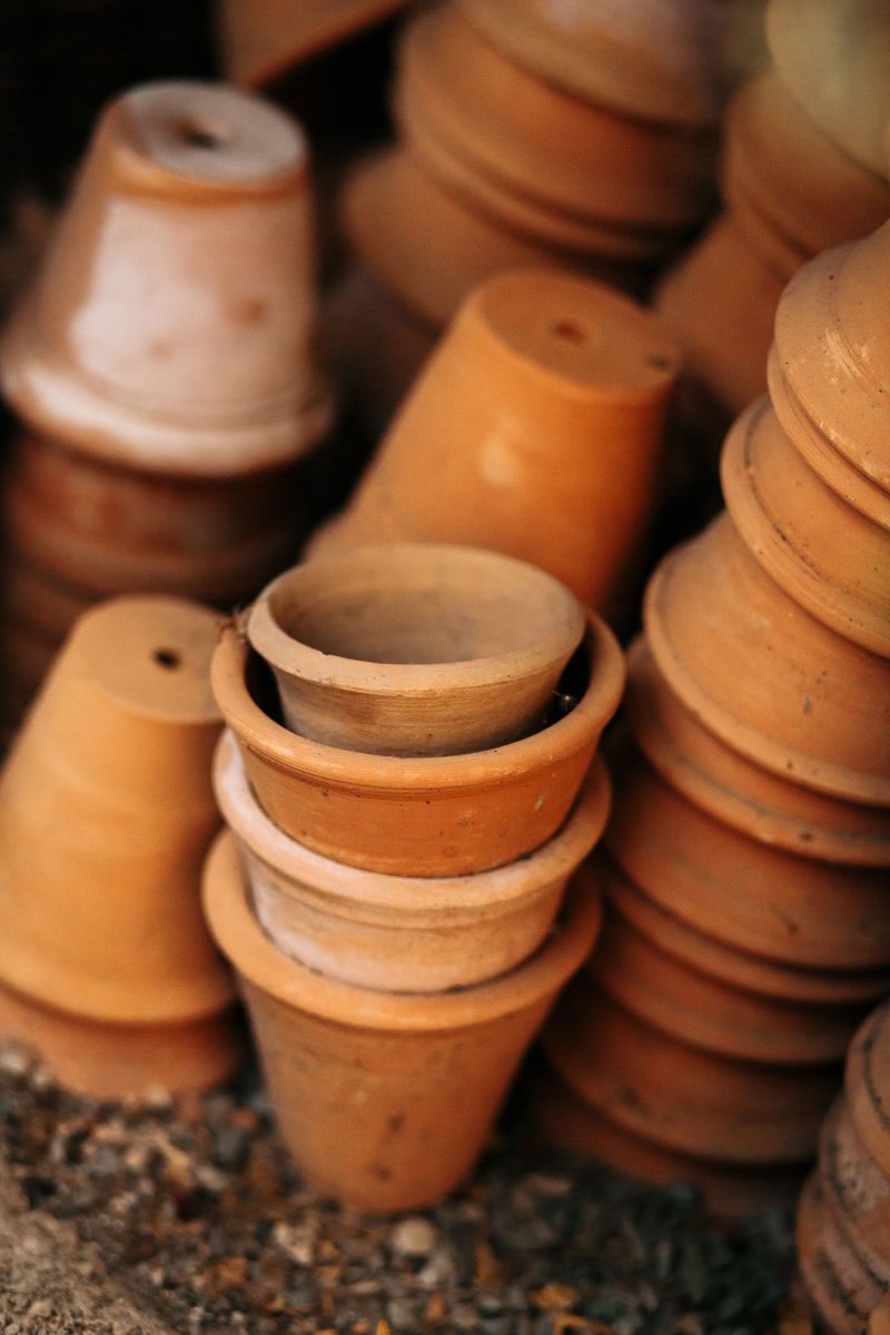 Terracotta Pots That Can Crack In Freezes