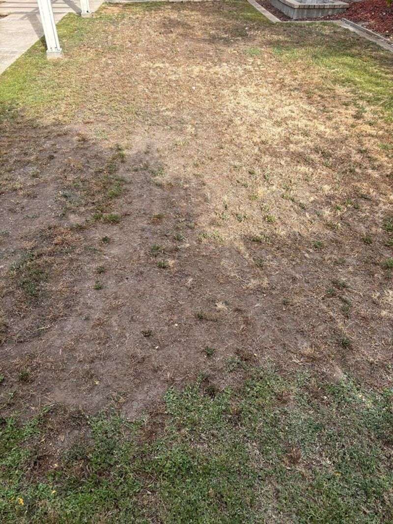 Test Soil And Fix Nutrient Problems Test Soil And Fix Nutrient Problems