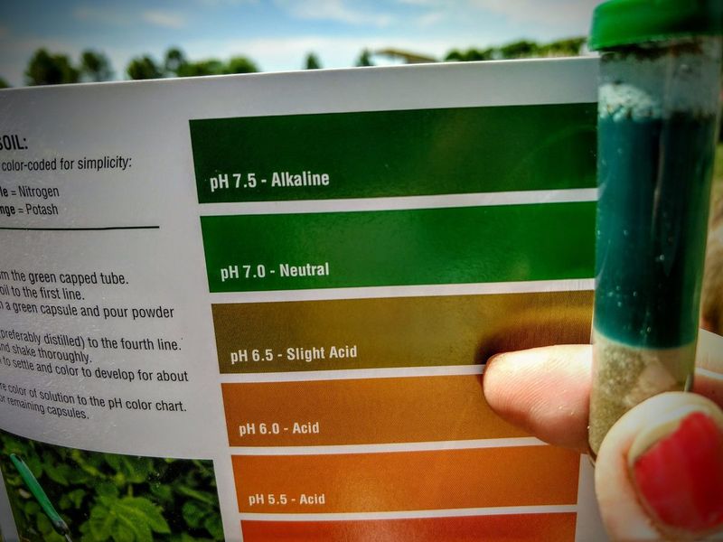 Test Soil pH Before Adding More Seed Test Soil pH Before Adding More Seed