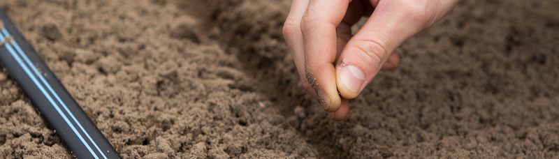 Test Your Soil pH Too Test Your Soil pH Too