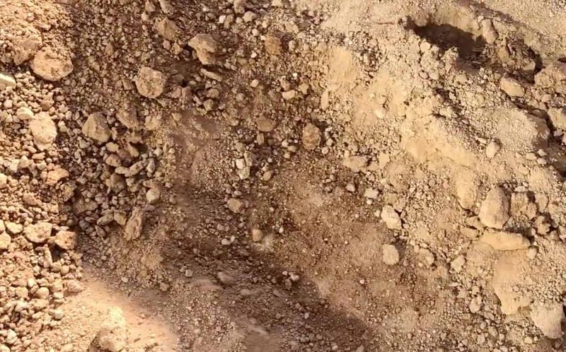 Test the Soil Drainage