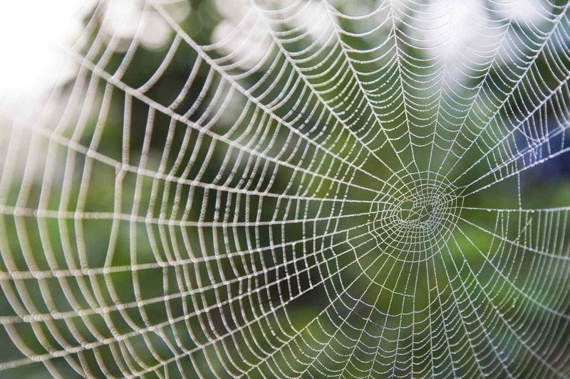 Texas's Long Warm Season Keeps Them Busy