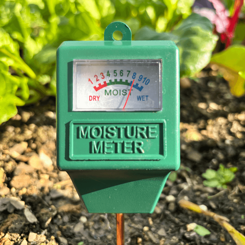 That Amount Soaks The Soil 10 To 12 Inches Deep That Amount Soaks The Soil 10 To 12 Inches Deep