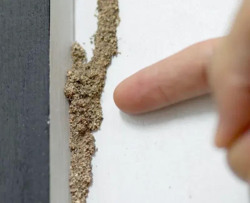 That Gap Lets You Spot Mud Tubes That Gap Lets You Spot Mud Tubes