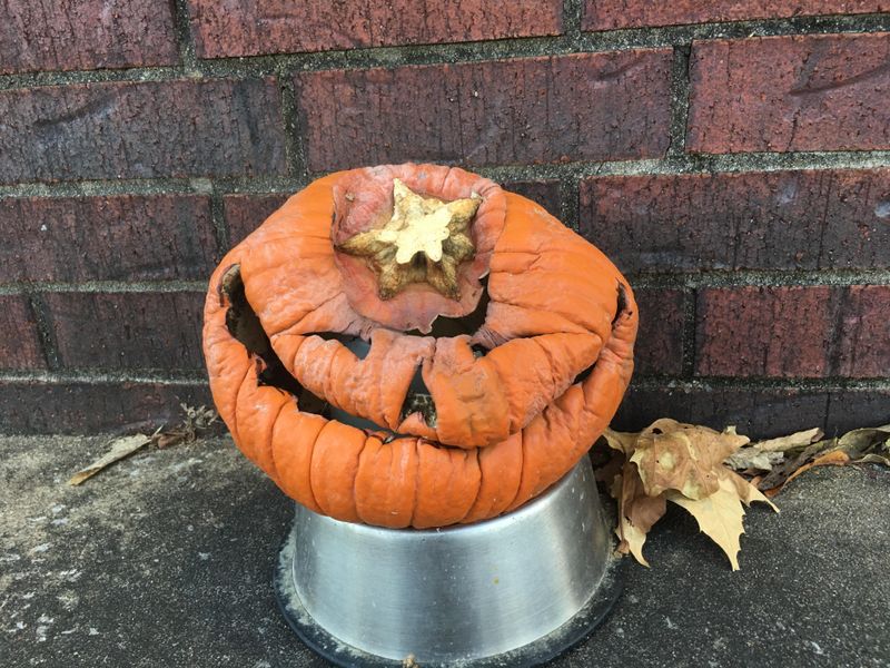 That Slumping Jack-O'-Lantern Is Secretly Garden Gold That Slumping Jack-O'-Lantern Is Secretly Garden Gold