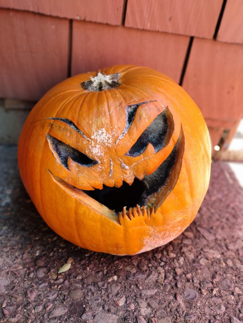 That Soggy Jack-O-Lantern Is Worth More Than You Think