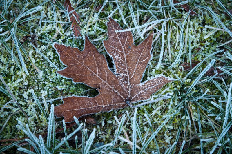 That Usually Means November Or Early December That Usually Means November Or Early December
