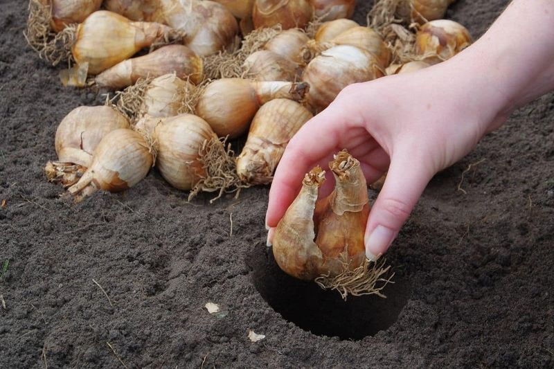 The Best Feeding Window For Michigan Soil The Best Feeding Window For Michigan Soil