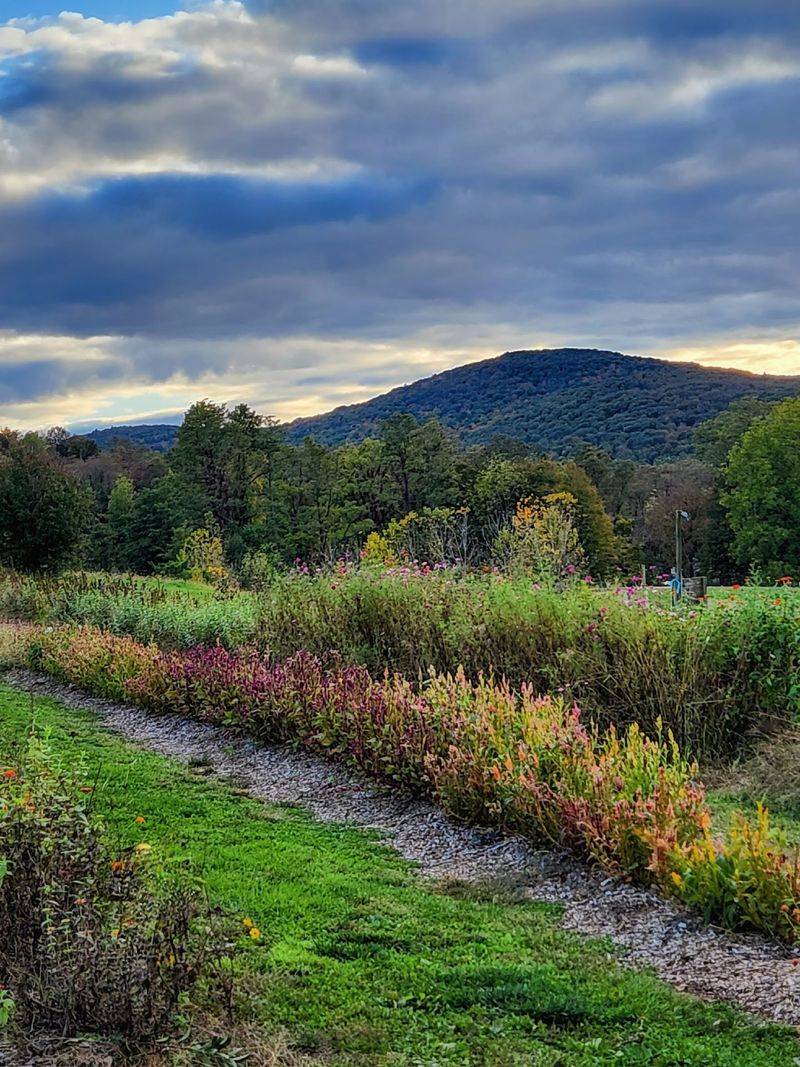 The Best Seat On The Farm Comes With Mountain Views The Best Seat On The Farm Comes With Mountain Views