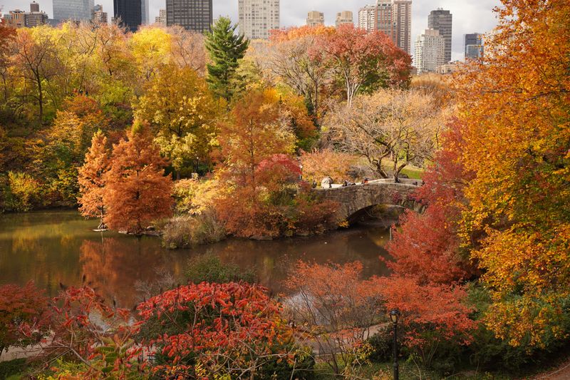 The Best Spots And Paths For Peak Color The Best Spots And Paths For Peak Color