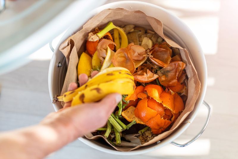 The Best Types Of Compost For California Raised Bed Gardens