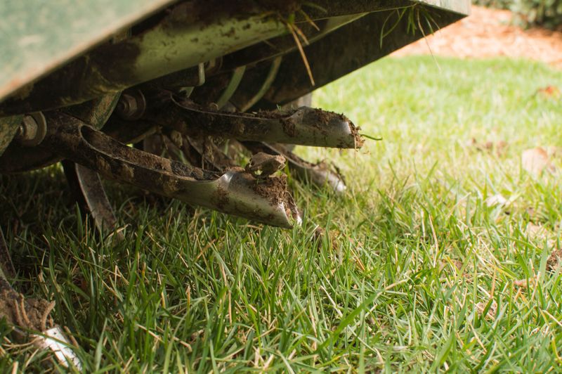 The Calendar Matters Less Than The Condition Of Your Grass