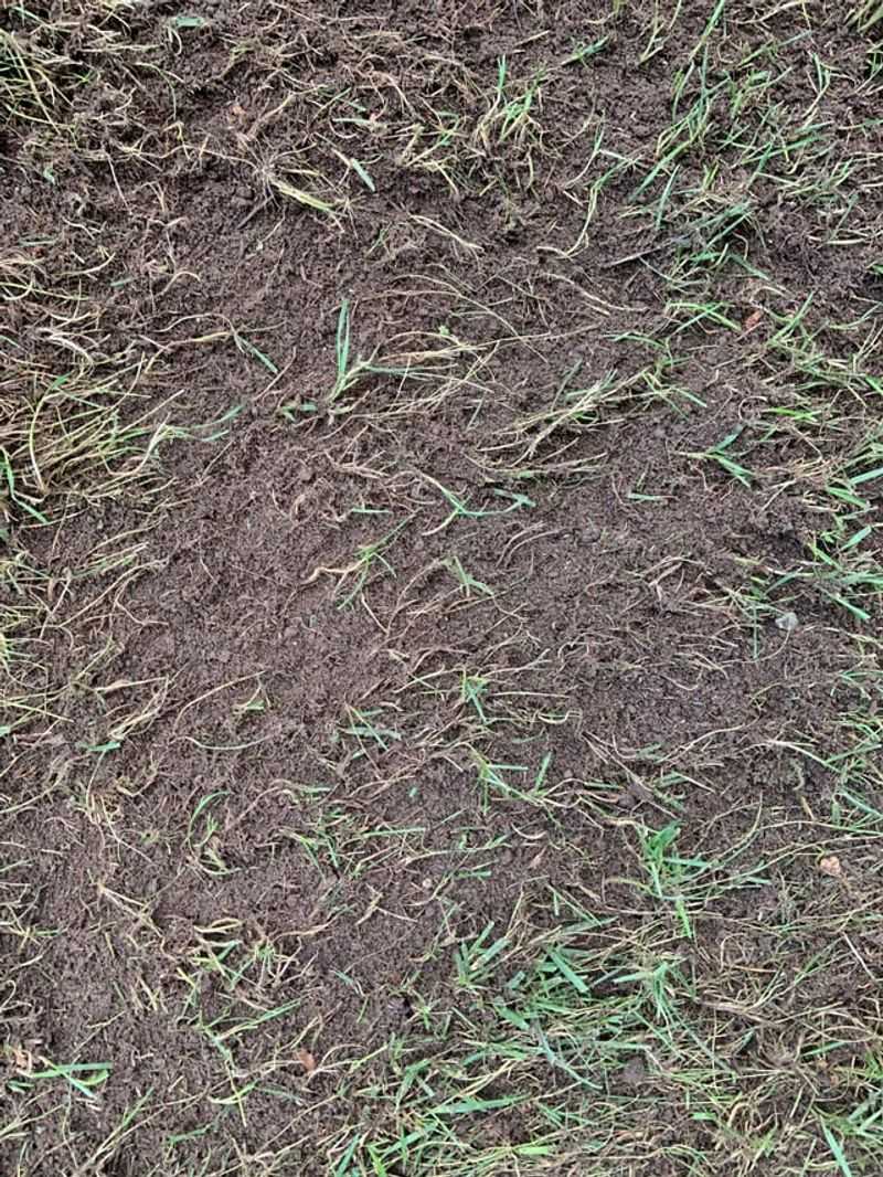 The Classic Mistake Of Raking Too Hard