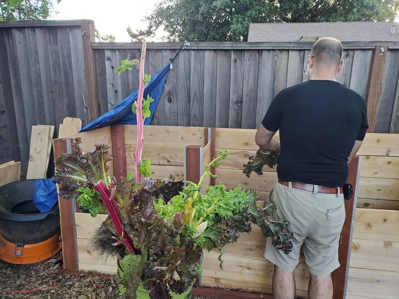 The Compost Pile Is Your Backup Plan