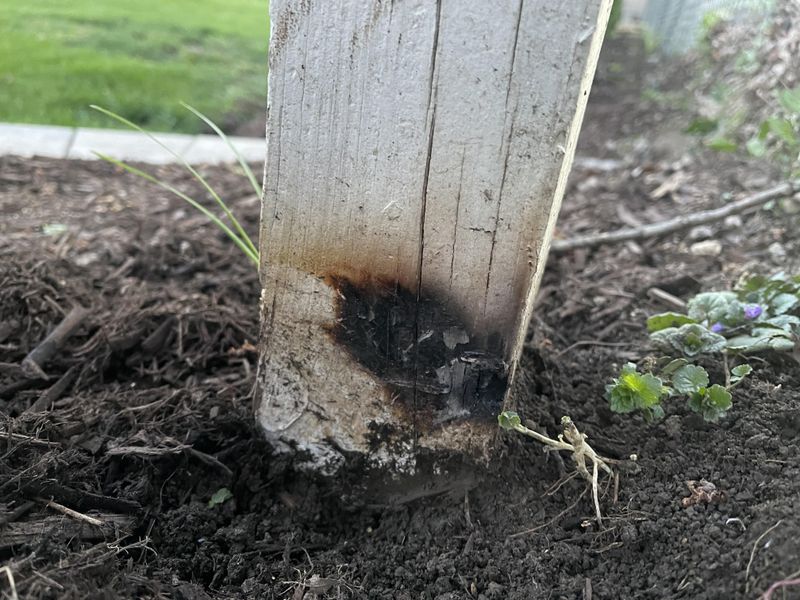 The Cost Of A Mulch Fire: Siding, Shrubs, And Insurance
