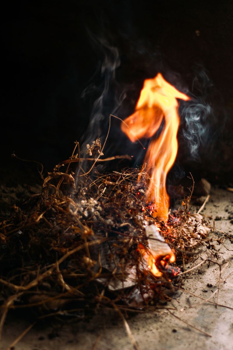 The Dry Fuel Science Behind The Afternoon Cutoff
