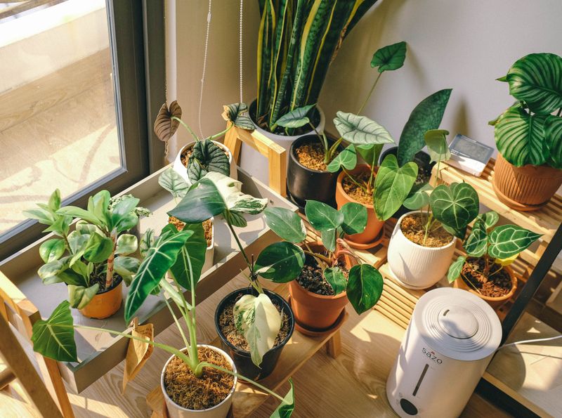 The Easy Trick Is Grouping Your Plants Together The Easy Trick Is Grouping Your Plants Together