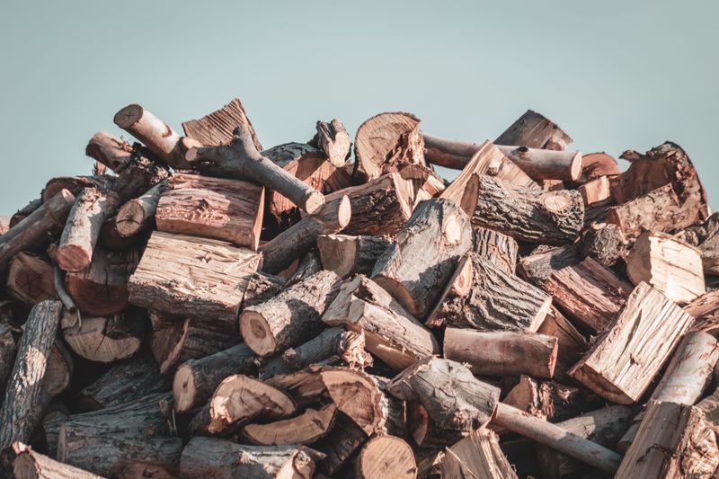 The Firewood Hitchhiker Problem