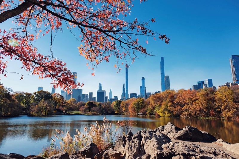The First Week Of November In New York City
