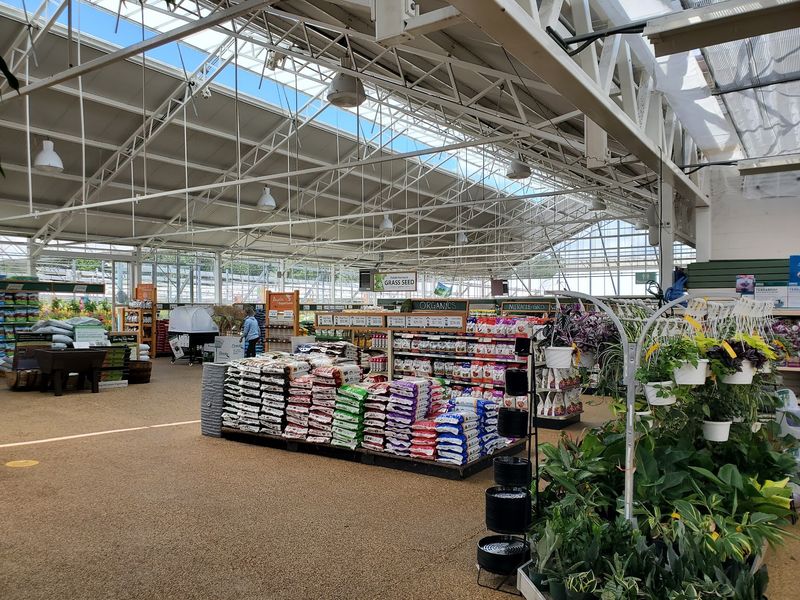 The Free Plant Must Be Of Equal Or Lesser Value The Free Plant Must Be Of Equal Or Lesser Value