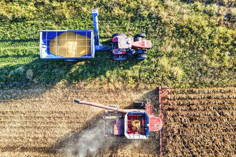 The Heavy Grain Carts That Roll Through Soft Headlands