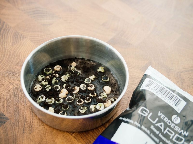 The Inoculant Trick Gardeners Swear By