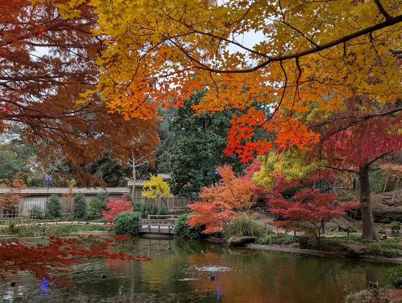 The Japanese Garden In Fall The Japanese Garden In Fall