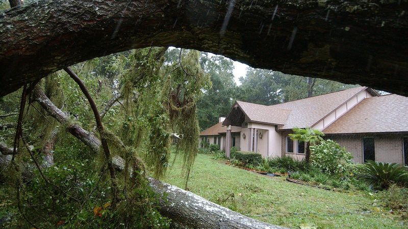The Law Covers Single-Family Homes Only