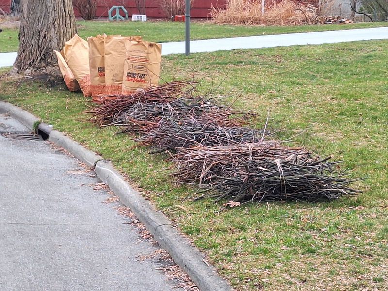 The Leaf Pile Mistake Near The Curb